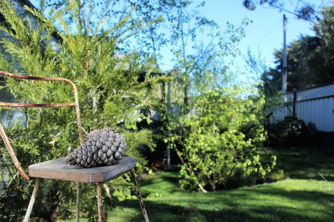 Cottage 4A - VIC Tourism 13