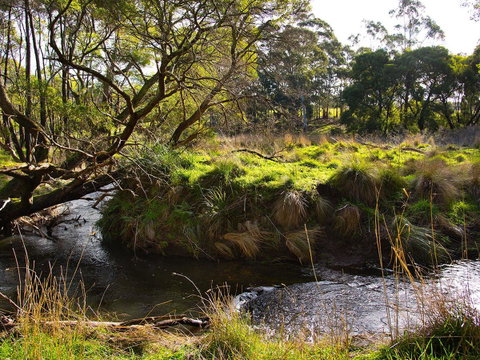 Green Gully House - VIC Tourism 5