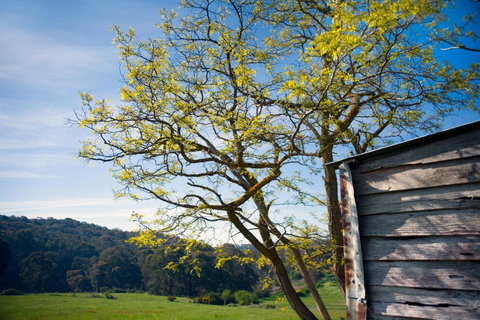 Cabrito - VIC Tourism 9