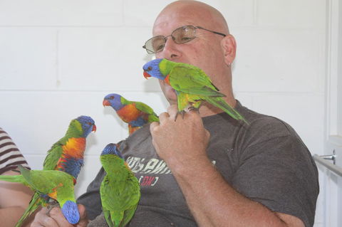Amaroo On Mandalay, Magnetic Island - VIC Tourism 33