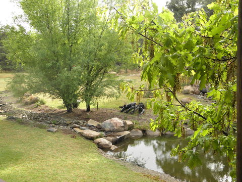 Granite Belt Retreat And Brewery - VIC Tourism 21