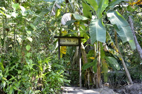 PK\'s Jungle Village - VIC Tourism 23