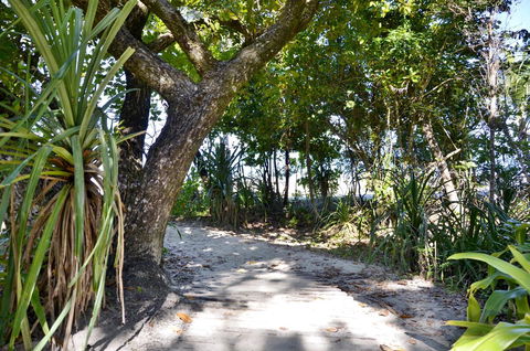 PK\'s Jungle Village - VIC Tourism 28