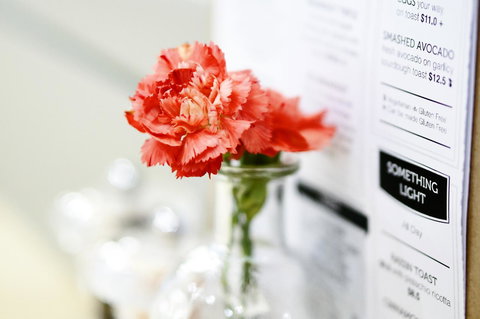 Madison Plaza Townsville - VIC Tourism 20