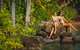 Palm Royale Cairns - thumb 10