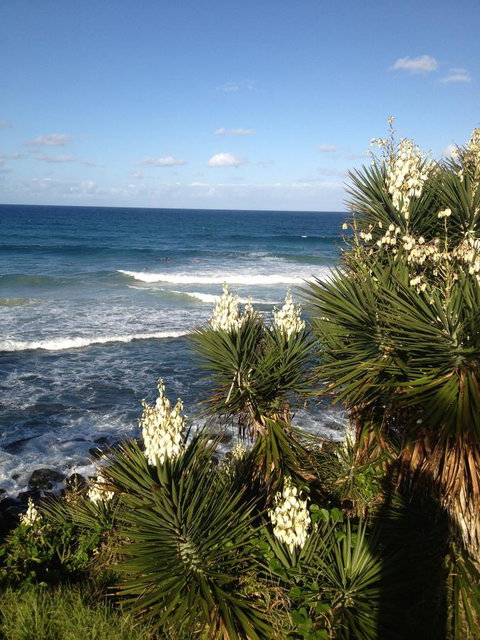 Oceania On Burleigh Beach - VIC Tourism 23