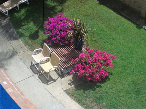 Oceania On Burleigh Beach - VIC Tourism 29