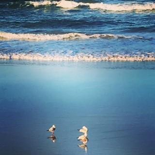 Oceania On Burleigh Beach - VIC Tourism 40