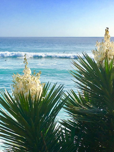 Oceania On Burleigh Beach - VIC Tourism 21