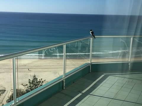 Ocean Plaza Resort - VIC Tourism 28