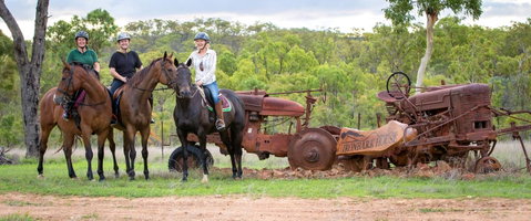 Ironbark House - VIC Tourism 8