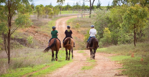 Ironbark House - VIC Tourism 22