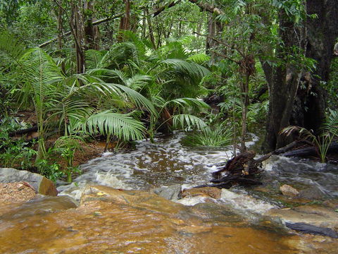 Forest Lodge: Little Villa - VIC Tourism 17