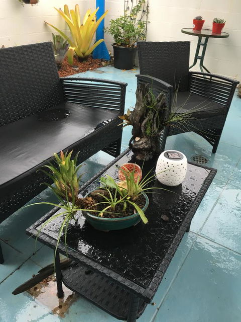 Black Marlin Motel - VIC Tourism 3