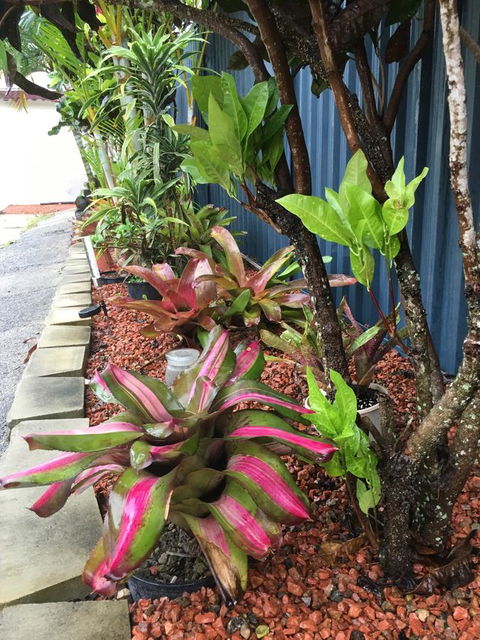 Black Marlin Motel - VIC Tourism 20