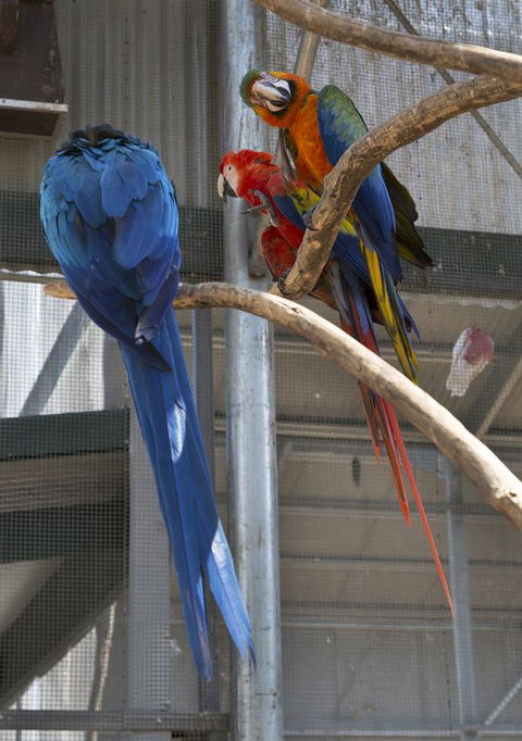 Bower 63 - VIC Tourism 35