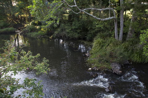 Bower 63 - VIC Tourism 23