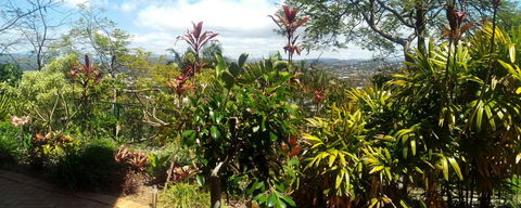 Private Guest Suite High On Currumbin Hill - VIC Tourism 27
