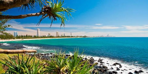 Private Guest Suite High On Currumbin Hill - VIC Tourism 23
