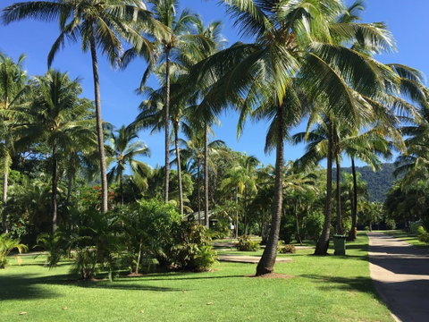 Tasman Holiday Parks - Airlie Beach - VIC Tourism 1