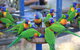 Tasman Holiday Parks - Airlie Beach - thumb 23