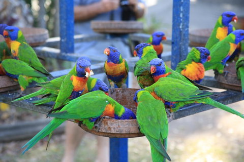 Tasman Holiday Parks - Airlie Beach - VIC Tourism 23