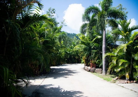 NRMA Airlie Beach Holiday Park - VIC Tourism 17