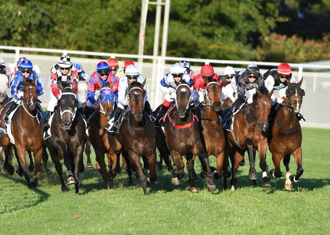 Best Western Airport 85 Motel - VIC Tourism 10