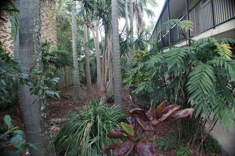 Best Western Airport 85 Motel - VIC Tourism 34