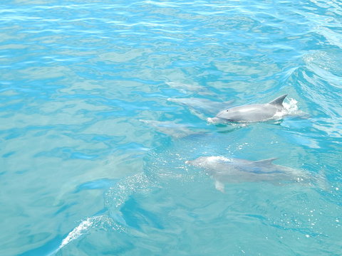 Superior Apartment In A Unique Resort - VIC Tourism 36