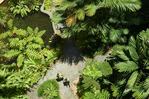 DoubleTree By Hilton Cairns - VIC Tourism 4