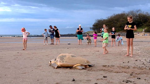 Dune On The Beach - VIC Tourism 6