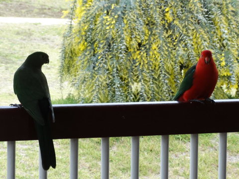 Loughmore House - VIC Tourism 9