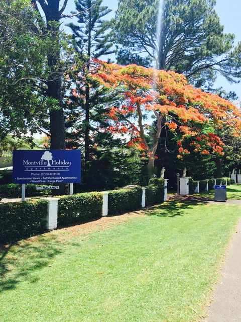 Montville Holiday Apartments - VIC Tourism 22