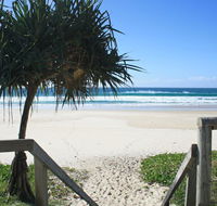 WAVES 203 ON CURRUMBIN - VIC Tourism