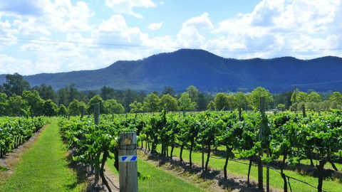 Winmark Wines - VIC Tourism 1