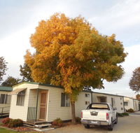 Wodonga Caravan  Cabin Park - VIC Tourism