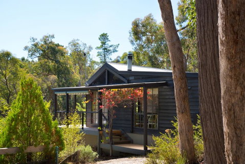 Wood For The Trees - VIC Tourism 0