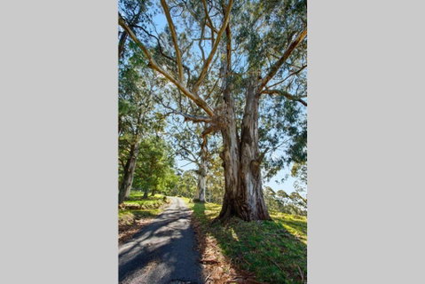 WOOLWAY - VIC Tourism 1