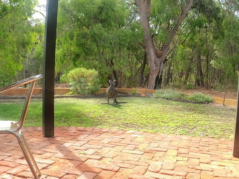 Yallingup Pet Friendly Bush Retreat - VIC Tourism 3