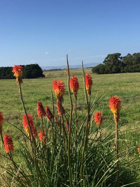 Yanakie Holiday House - VIC Tourism 2
