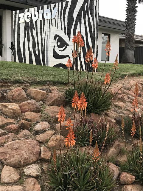 Zebras Guest House Geraldton - VIC Tourism 1