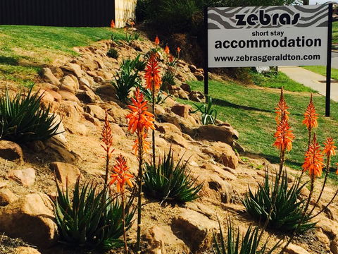 Zebras Guest House Geraldton - VIC Tourism 2