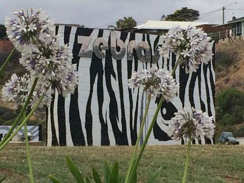 Zebras Guest House Geraldton - VIC Tourism 0