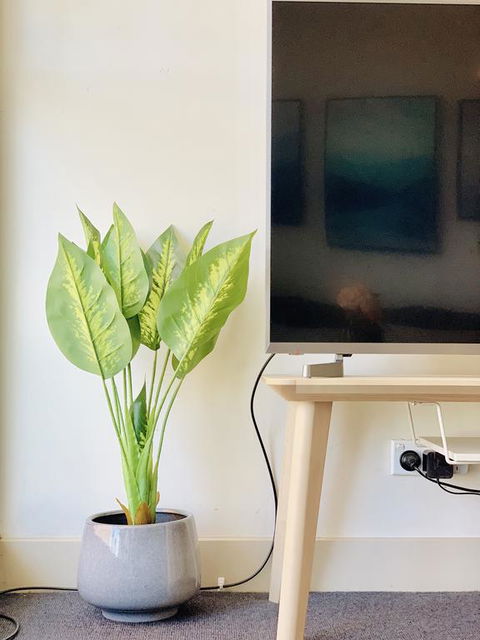 ZEN Homes On Collins - VIC Tourism 3