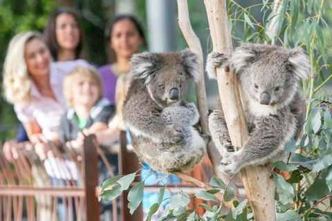 A 3BR Apt Next To Melbourne Zoo FREE Parking - VIC Tourism 2