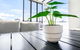 Accent On McLeod - Breezy Outdoor Living - thumb 0