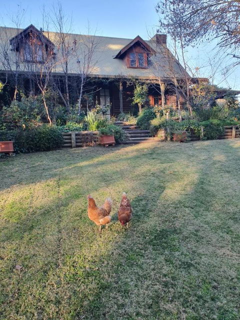 Angaston By The Winter Creek - VIC Tourism 0