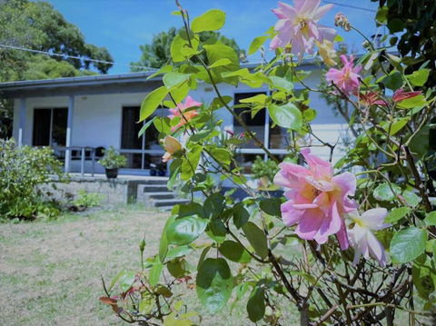 Apollo Bay Holiday House - VIC Tourism 1