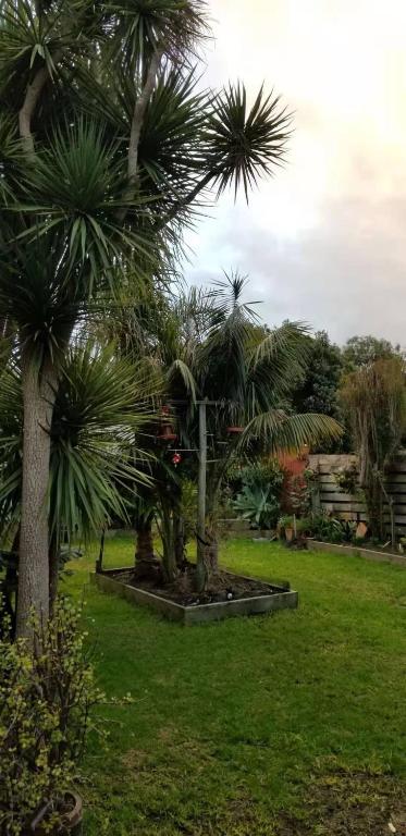Apollo Stay - VIC Tourism 1